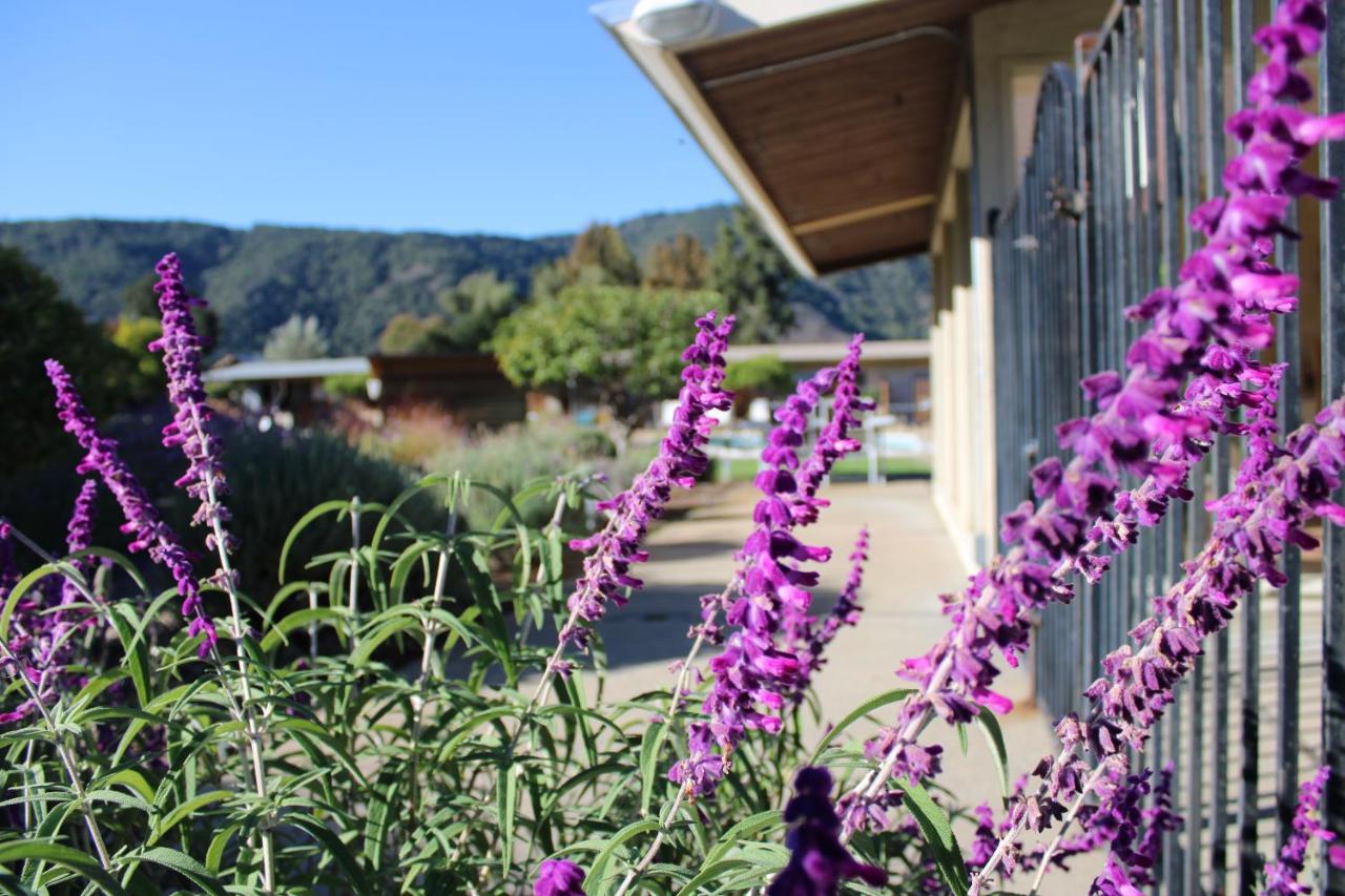 Contenta Inn Carmel Valley Exteriér fotografie